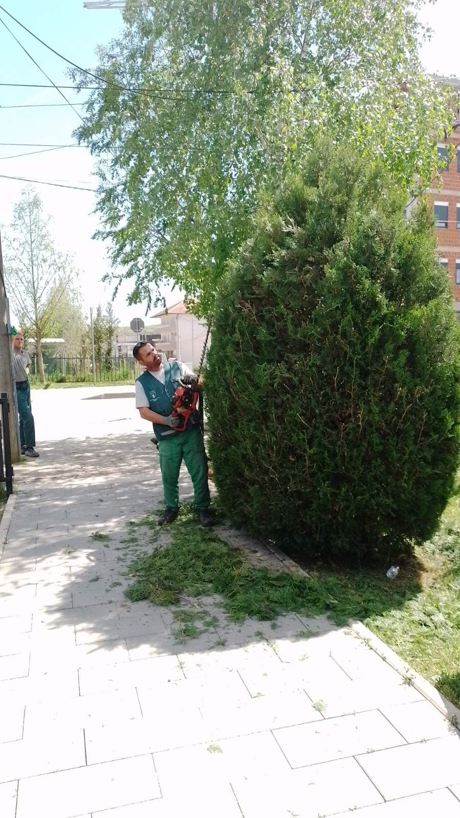 Shaban Polluzha